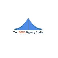 Top SEO  Agenecy India's Photo