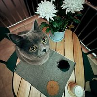 Taner Demiray's Photo