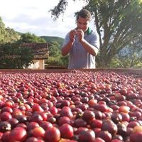 Guilherme Ferbek's Photo