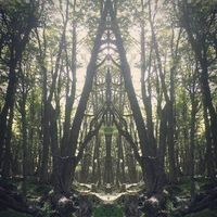 Mariana Rossi的照片