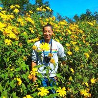 Hung Dinh Tan's Photo