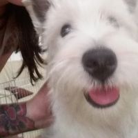 Marta Szymańska的照片