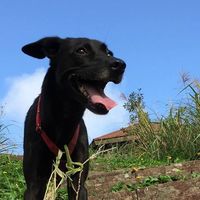 Fotos von Aiwanwan Chang