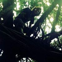 Pedro Gonzalez的照片