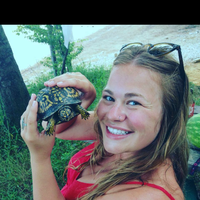 Thea Sheets的照片