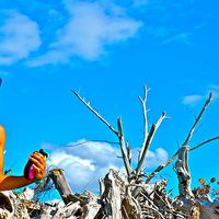 Garren  Mezza的照片