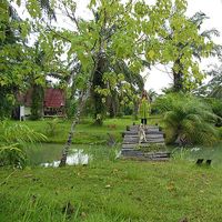 Caitlin Nicholson's Photo