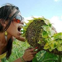 Lorena Castro's Photo