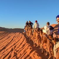 Salihcan Erşahin's Photo