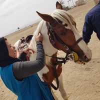 Mitra Tabrizi的照片