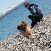 Yesica Gonzalez的照片