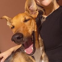 Celeste Cejas's Photo