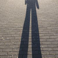 Azize Leylek的照片