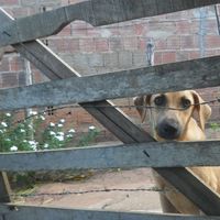 Le foto di Duda Nascimento