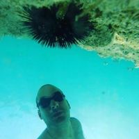 Fotos von Osman Erturk