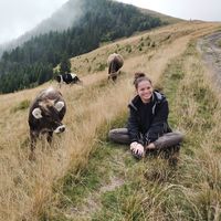 Fotos de Hannah Kortekamp