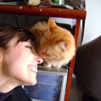 Talitha Freitas的照片