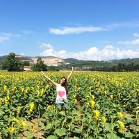 Irene Zaccaro的照片