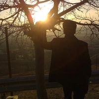 Vahid Kowsari's Photo