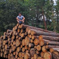 Fotos von Giacomo Neri