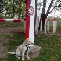 Photos de Jozef Hanacek