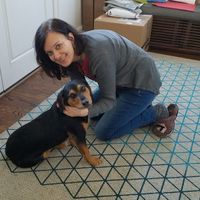 Susan Stuart's Photo