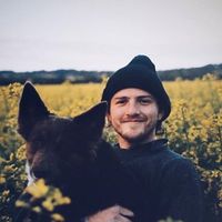 David Mulhern的照片