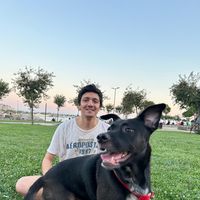 Babek Barış Kazemi's Photo