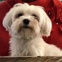 Núria Aragon的照片