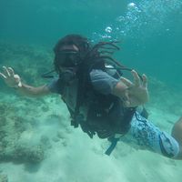 alexandre leal's Photo