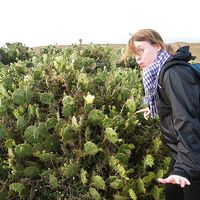 Laurianne Blais-Laliberté's Photo