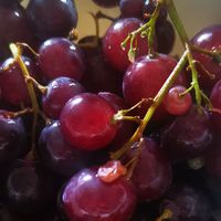 Marina Awais's Photo