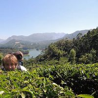 nicolas geffroy's Photo