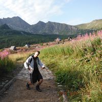 Adam Gąsiorek的照片