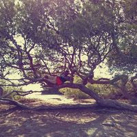 Le foto di sourabh jo