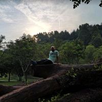 Ahmed Youssef's Photo