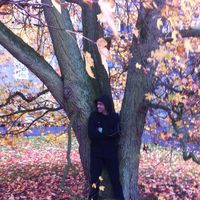 Erasmo Farias的照片