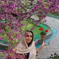 Bahar naghdi's Photo