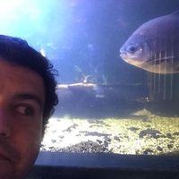 Gustavo Marengo's Photo