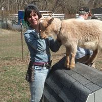 Holly Augustine的照片