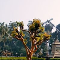 Suhas Chaudhari的照片