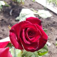 Анастасия Сухинина's Photo