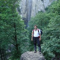 Majid Attar的照片