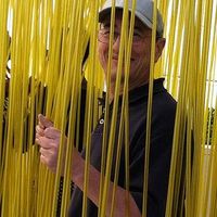 JOHN BERGMANN's Photo