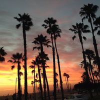 Iliyas Alenayev的照片