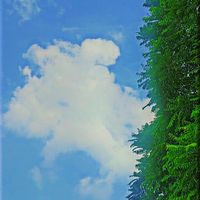 Fotos de Jagsir Singh