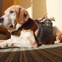 stefano cedda's Photo