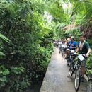🚲 Monthly Cycling @Bangkrachao on 19 NOV'22's picture