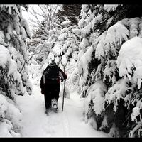 Volkan Cagli's Photo