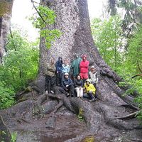 Jennifer McGlynn's Photo